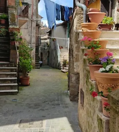 Apartment La Chascona Di Casa Di Tufo Nel Borgo Farnese