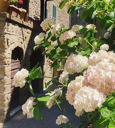 La Chascona Di Casa Di Tufo Nel Borgo * Farnese