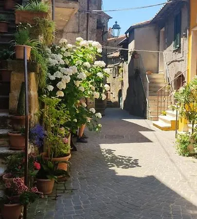 La Chascona Di Casa Di Tufo Nel Borgo Apartment Farnese